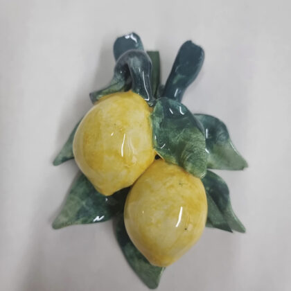 Ramo frutta mignon 2 limoni